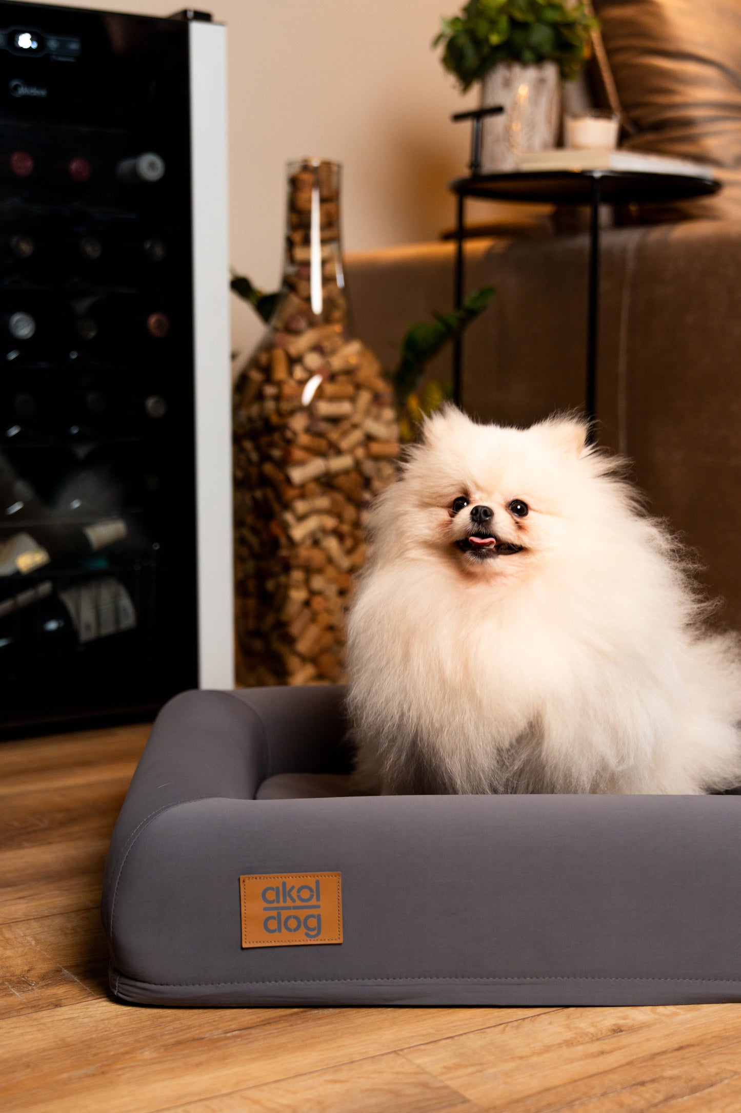 Cama Akol Dog