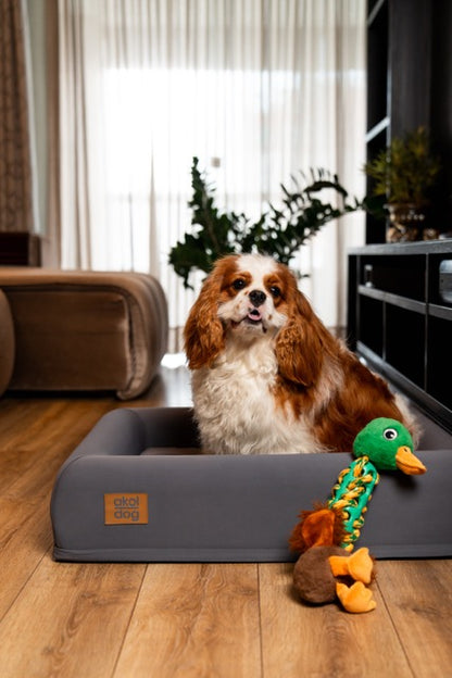 Brinquedo de Pelúcia – Pato para Cães