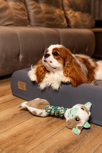 Brinquedo de Pelúcia – Vaca para Cães