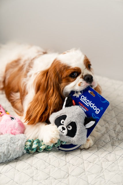 Brinquedo de Pelúcia – Guaxinim para Cães