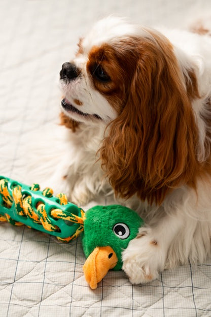 Brinquedo de Pelúcia – Pato para Cães