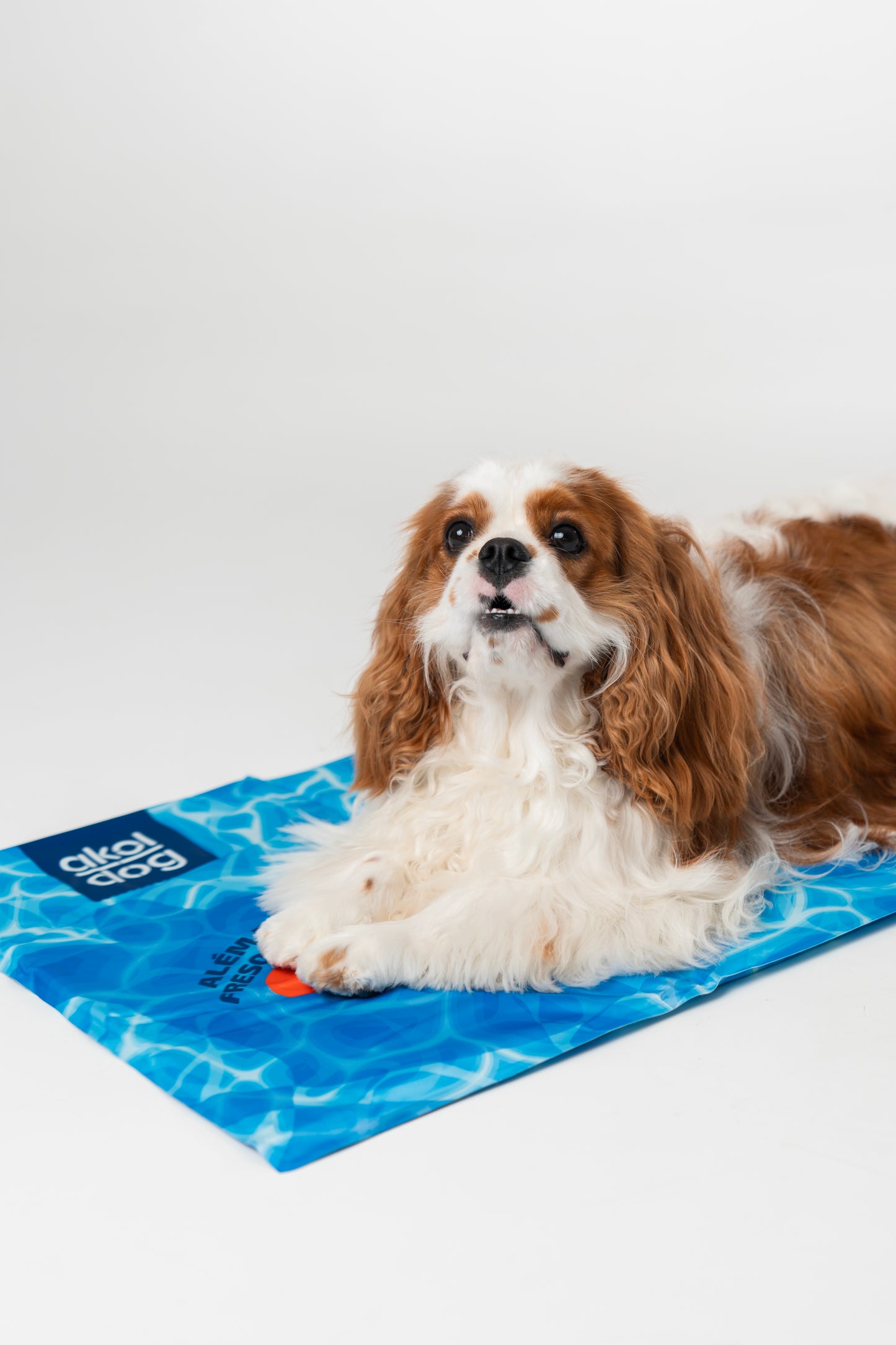 Tapete Gelado Akol Dog 90X50CM