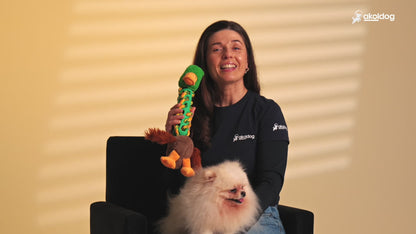 Brinquedo de Pelúcia – Pato para Cães