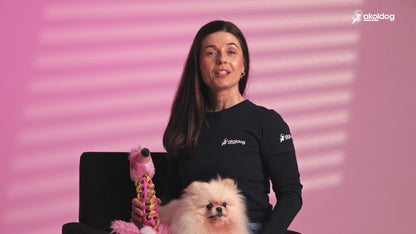 Brinquedo de Pelúcia – Flamingo para Cães