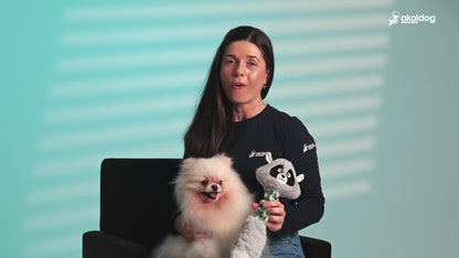 Brinquedo de Pelúcia – Guaxinim para Cães